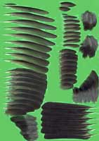 klicken -> groes Bild