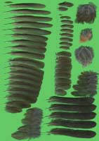 klicken -> groes Bild