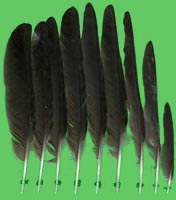 klicken -> groes Bild