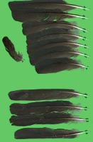 klicken -> groes Bild