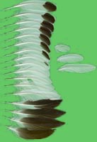 klicken -> groes Bild