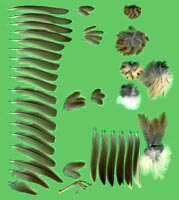 klicken -> gro�es Bild