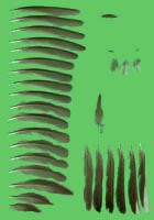 klicken -> gro�es Bild