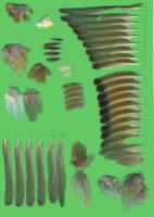 klicken -> groes Bild