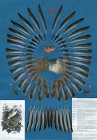 klicken -> groes Bild