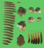 klicken -> gro�es Bild