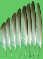 klicken -> gro�es Bild