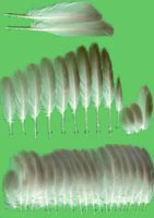 klicken -> gro�es Bild