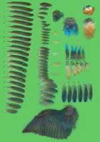 klicken -> gro�es Bild