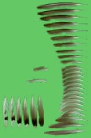 klicken -> groes Bild