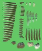 klicken -> gro�es Bild