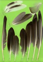 klicken -> gro�es Bild