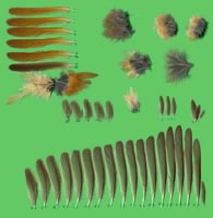 klicken -> groes Bild