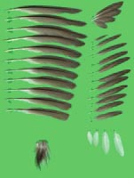 klicken -> groes Bild