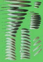 klicken -> gro�es Bild