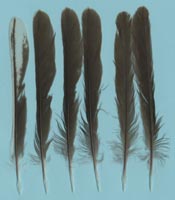 klicken -> groes Bild