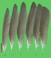 klicken -> gro�es Bild