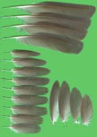 klicken -> gro�es Bild