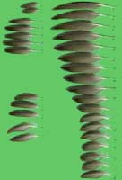 klicken -> gro�es Bild