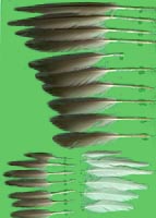 klicken -> gro�es Bild