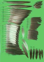 klicken -> gro�es Bild