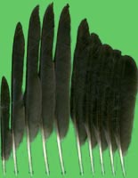 klicken -> groes Bild