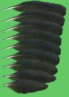 klicken -> groes Bild