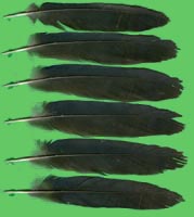 klicken -> groes Bild