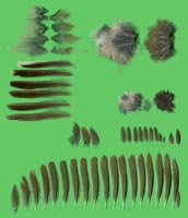 klicken -> groes Bild