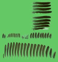 klicken -> groes Bild