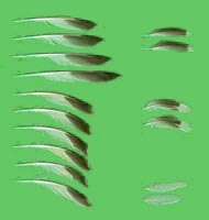 klicken -> groes Bild