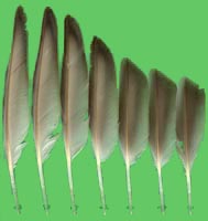 klicken -> groes Bild