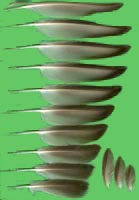 klicken -> groes Bild