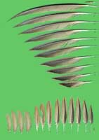 klicken -> gro�es Bild