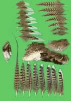 klicken -> gro�es Bild