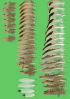 klicken -> gro�es Bild