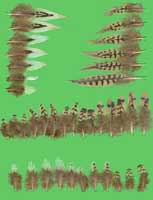 klicken -> gro�es Bild