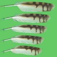 klicken -> groes Bild