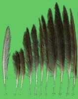 klicken -> gro�es Bild