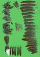 klicken -> gro�es Bild