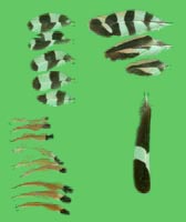 klicken -> gro�es Bild